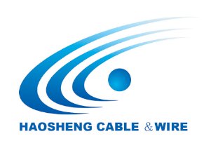 E120-HAIYAN HAOSHENG ELECTIC CABLE & WIRE CO., LTD..docx